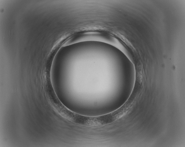 X0000080710207200612151142