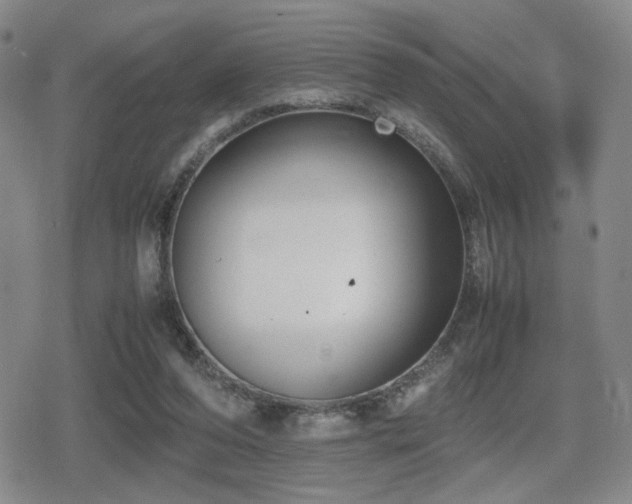 X0000080710208200612151142