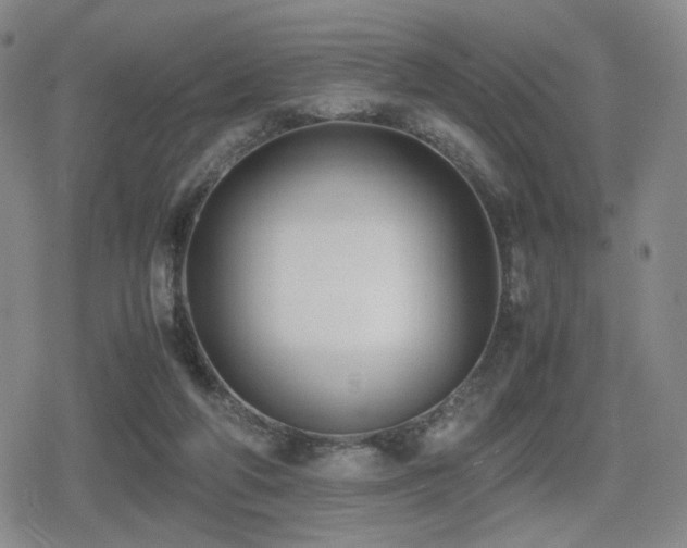 X0000080710210200612151142