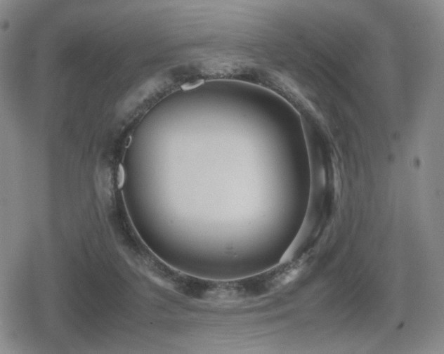 X0000080710211200612151142