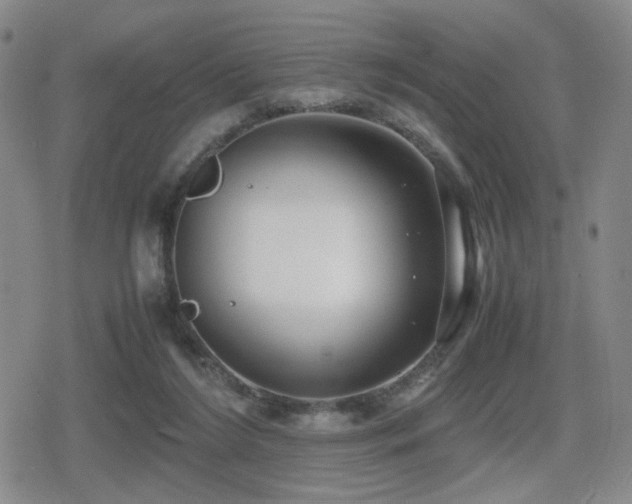 X0000080710212200612151142