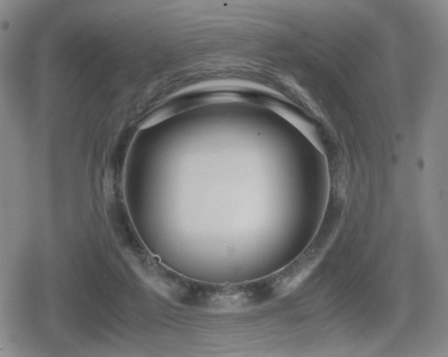 X0000080710213200612151142