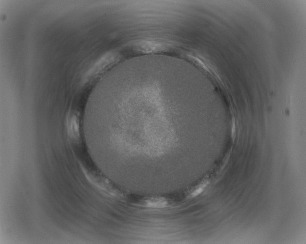 X0000080710214200612151142