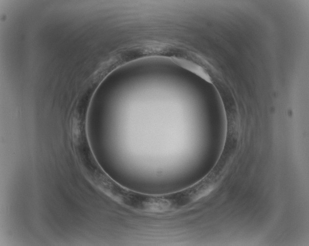 X0000080710215200612151142