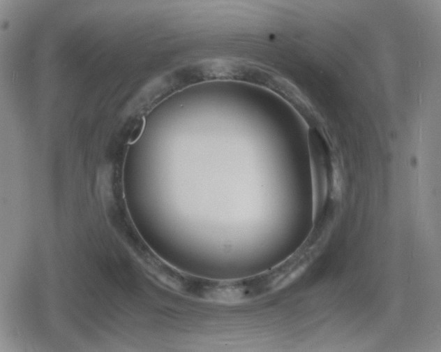 X0000080710217200612151142