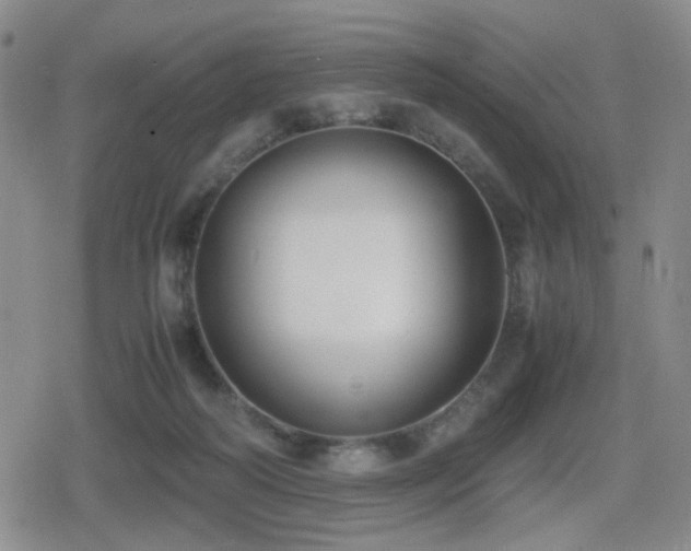 X0000080710218200612151142