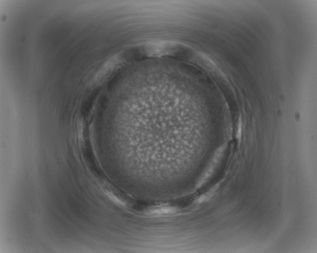 X0000080710219200612151142