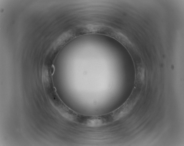 X0000080710220200612151142