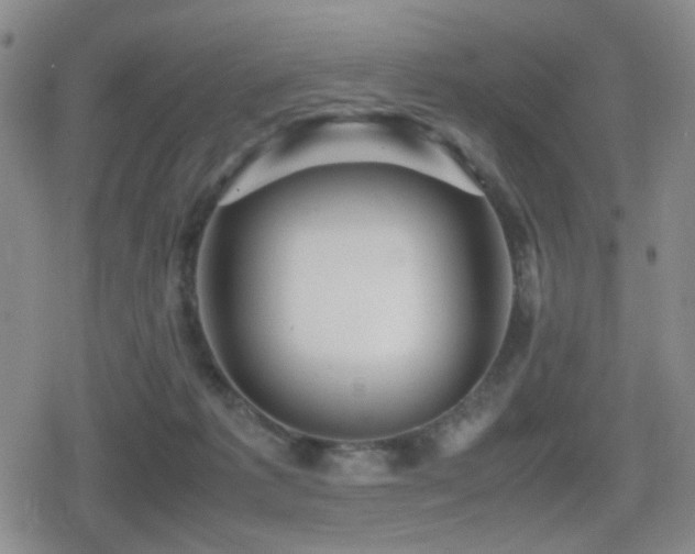 X0000080710221200612151142