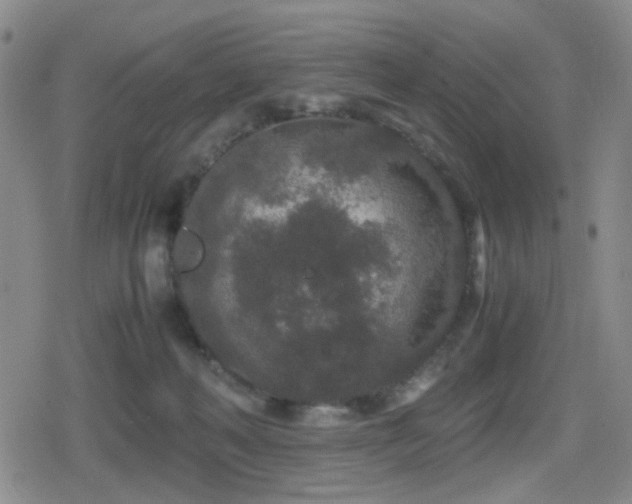 X0000080710222200612151142