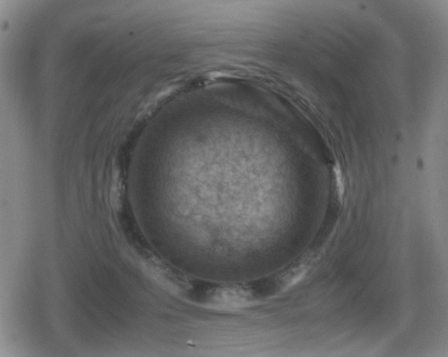 X0000080710223200612151142