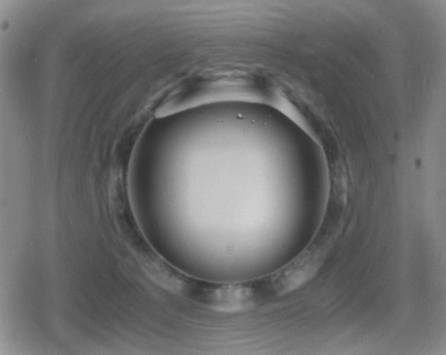 X0000080710225200612151142