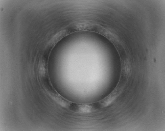 X0000080710226200612151142