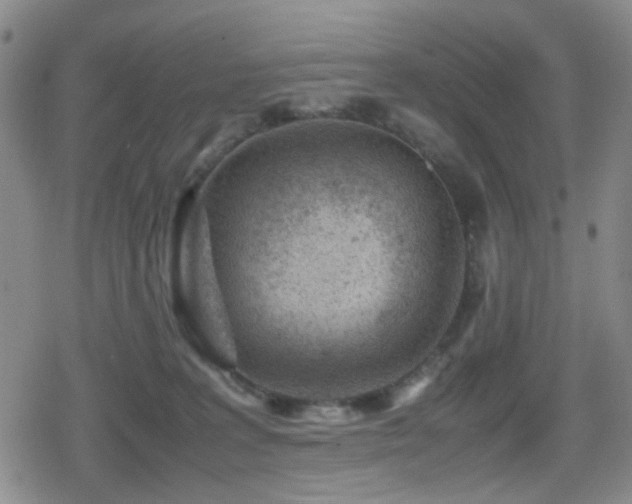 X0000080710227200612151142