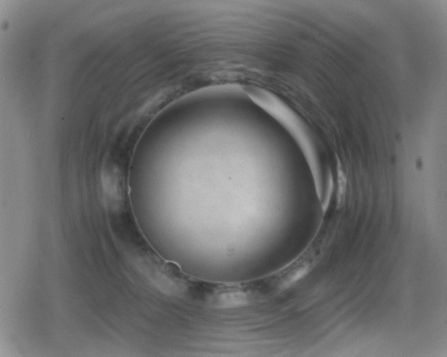 X0000080710228200612151142