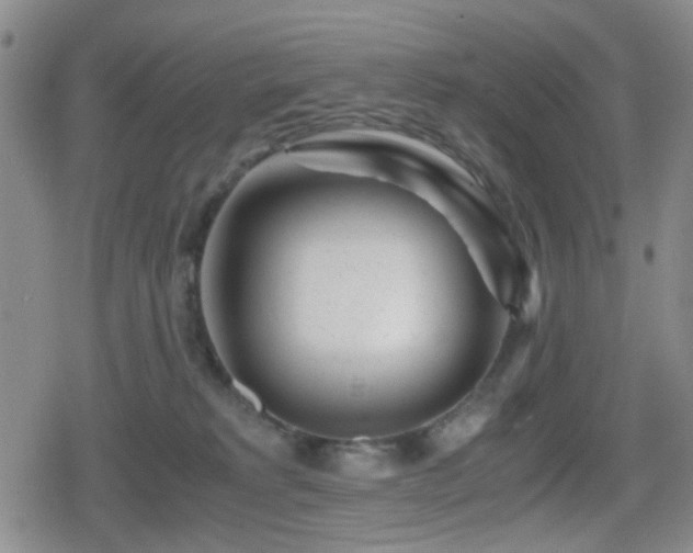 X0000080710229200612151142