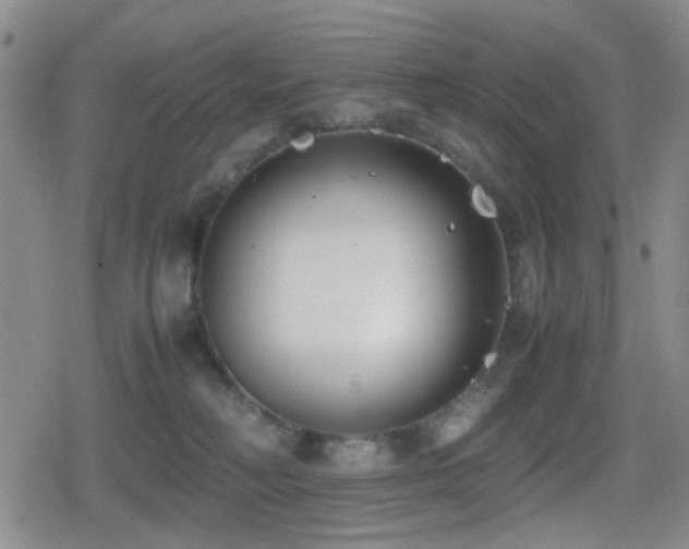 X0000080710230200612151142