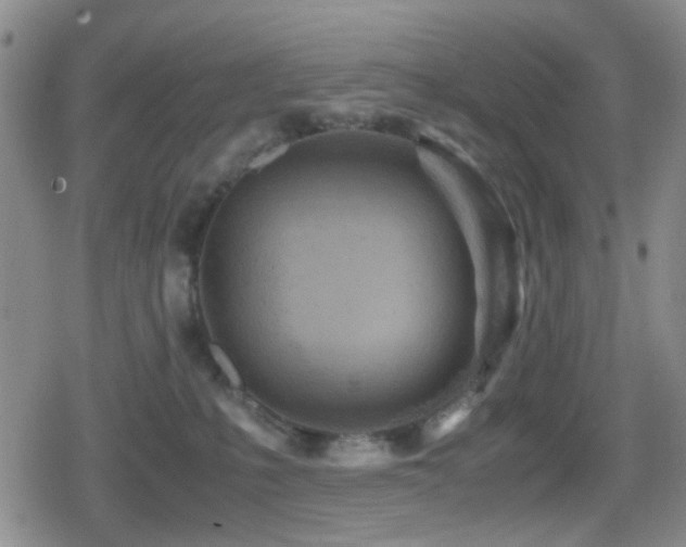 X0000080710231200612151142