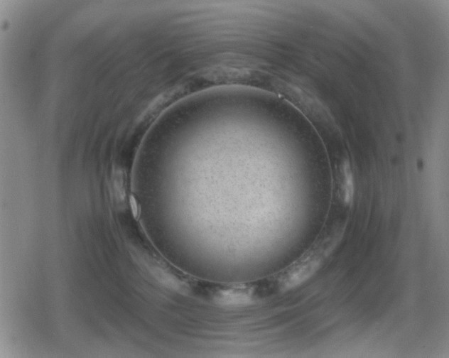 X0000080710232200612151142