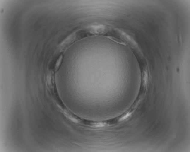 X0000080710233200612151142