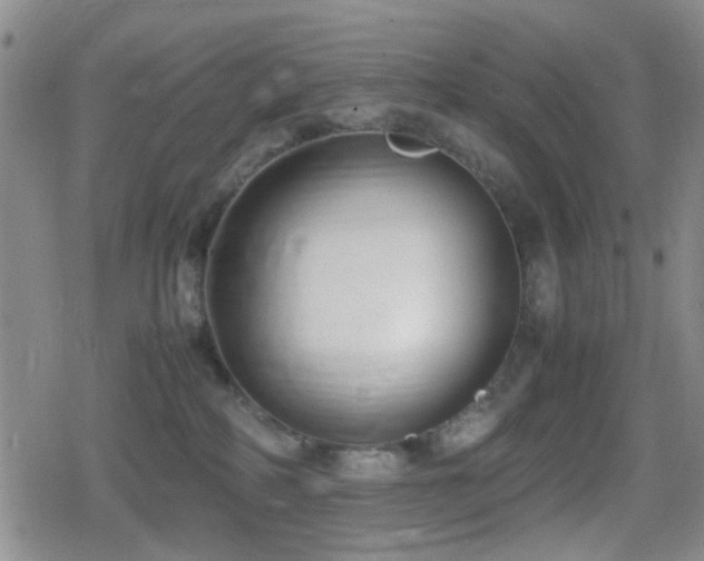 X0000080710234200612151142