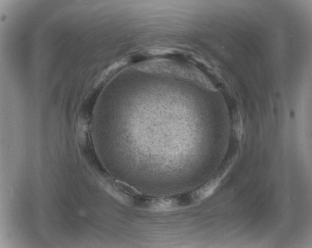 X0000080710235200612151142