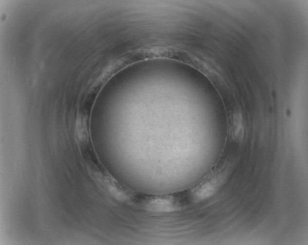 X0000080710236200612151142