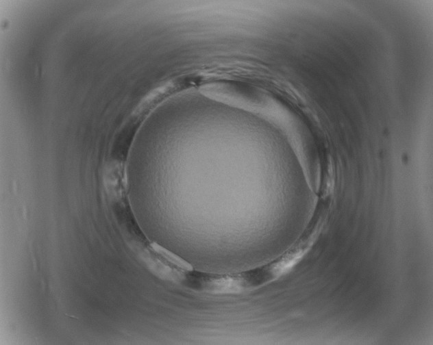 X0000080710237200612151141