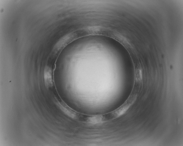 X0000080710238200612151141