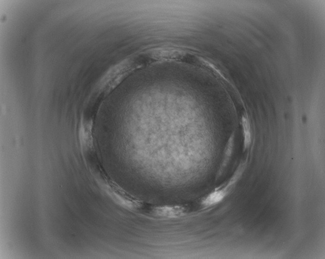 X0000080710239200612151141