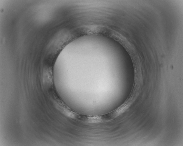 X0000080710240200612151141