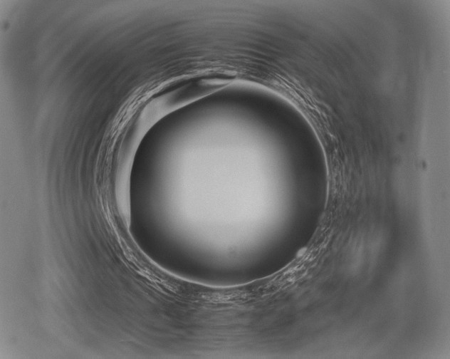 X0000080710241200612151141