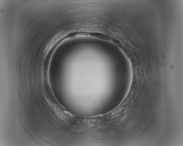 X0000080710242200612151141