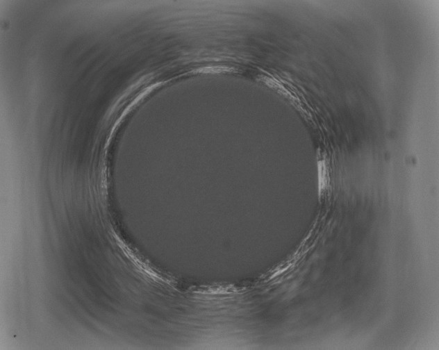 X0000080710243200612151141