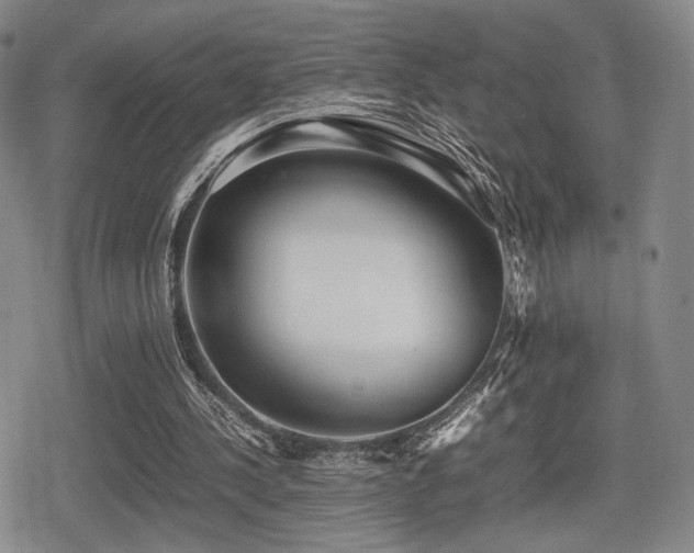 X0000080710244200612151141