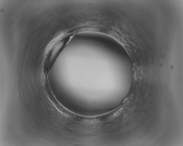 X0000080710245200612151141