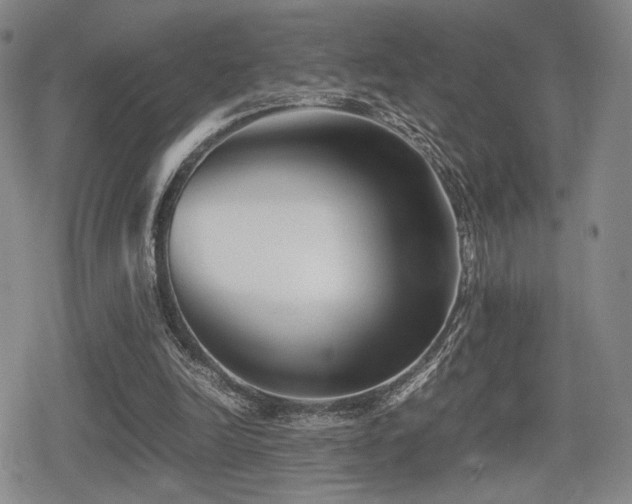 X0000080710246200612151141