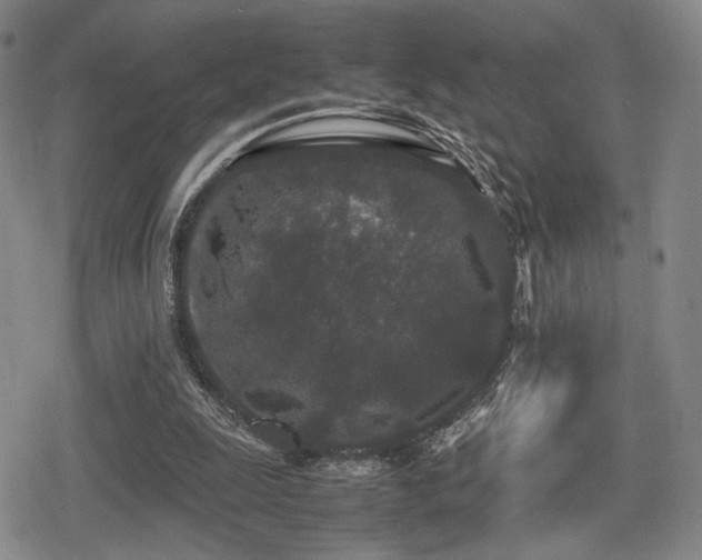 X0000080710247200612151141