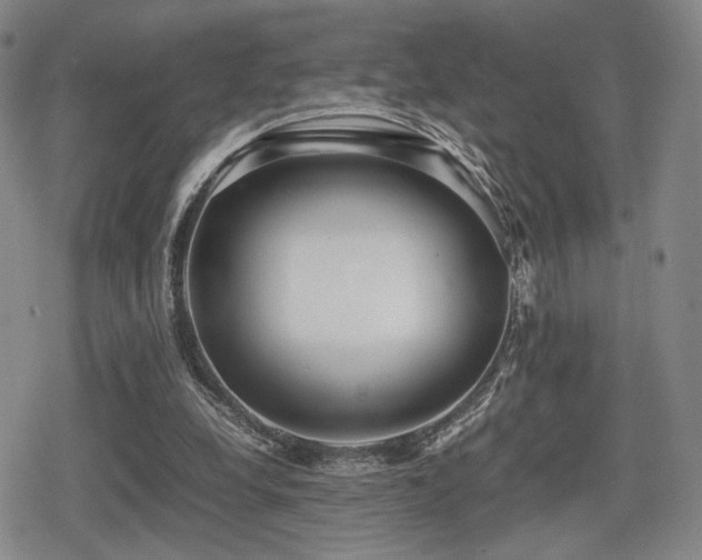 X0000080710248200612151141