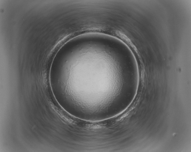 X0000080710249200612151141