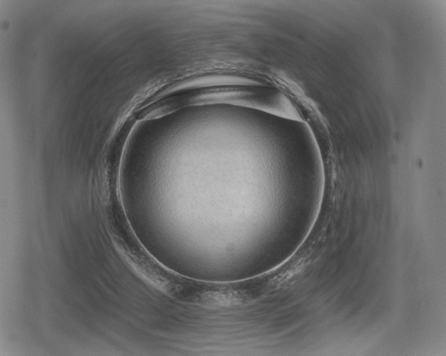 X0000080710250200612151141