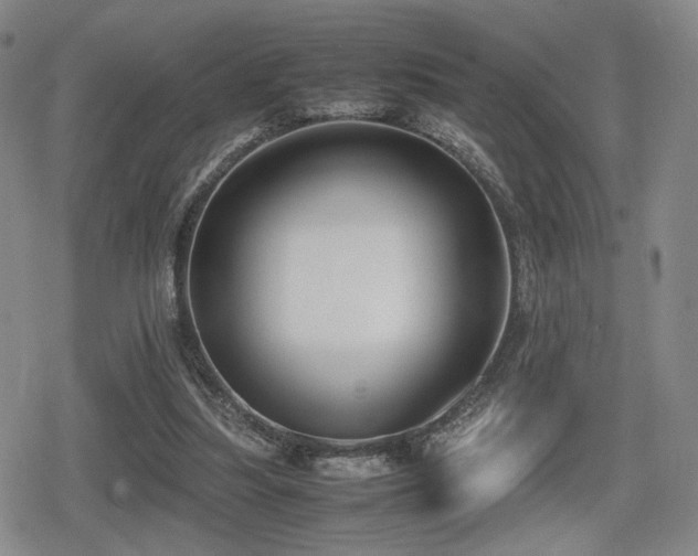 X0000080710251200612151141