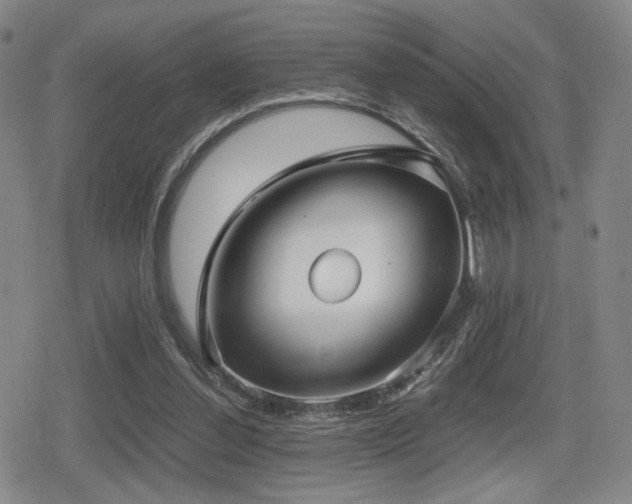 X0000080710252200612151141