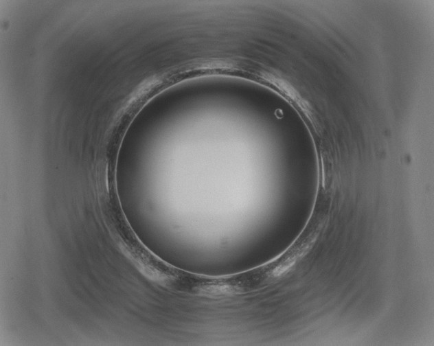 X0000080710253200612151141