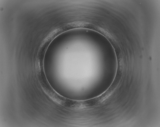 X0000080710254200612151141