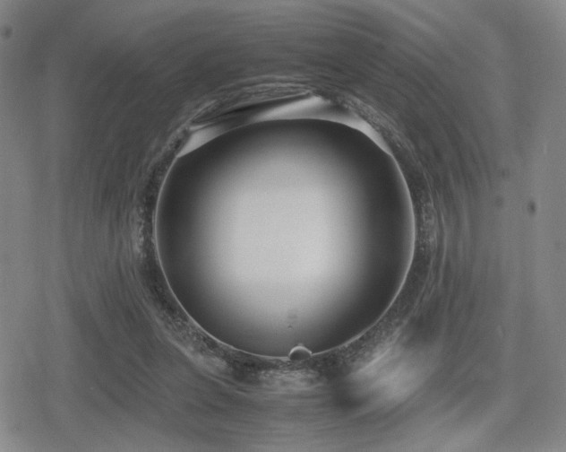 X0000080710255200612151141