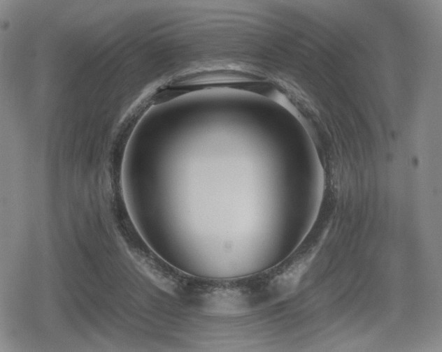 X0000080710256200612151141