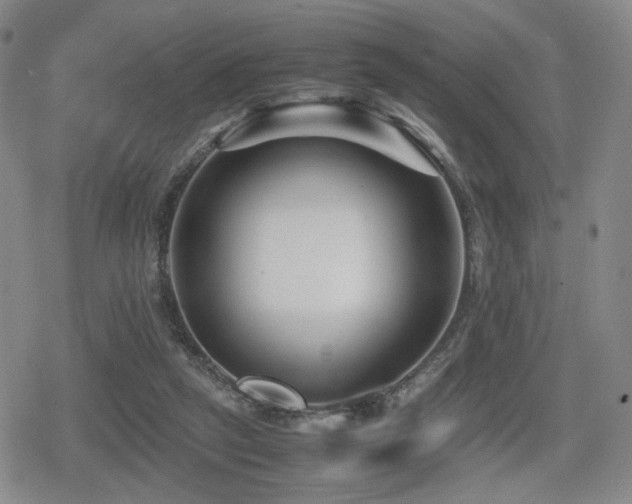 X0000080710257200612151141