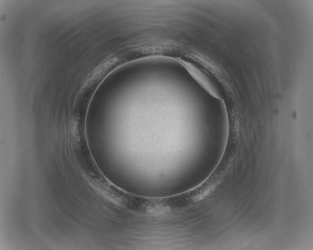 X0000080710258200612151141