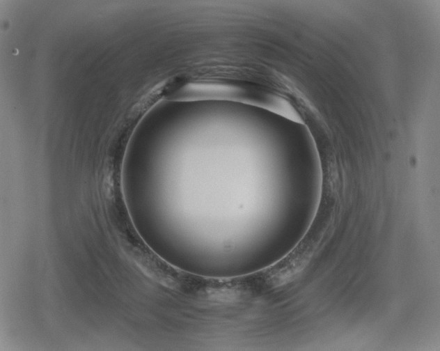 X0000080710259200612151141